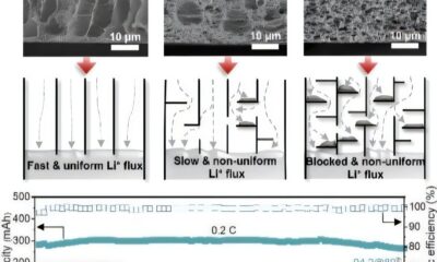 3D porous structure promises safer, longer-lasting lithium-metal batteries for electric vehicles 3D porous structure promises safer, longer-lasting lithium-metal batteries for electric vehicles