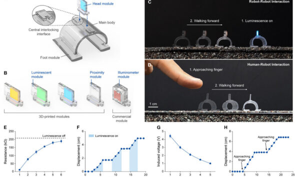 3D-printed microrobots adapt to diverse environments with modular design