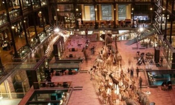 Chinese woman charged over gold theft at Paris Natural History Museum