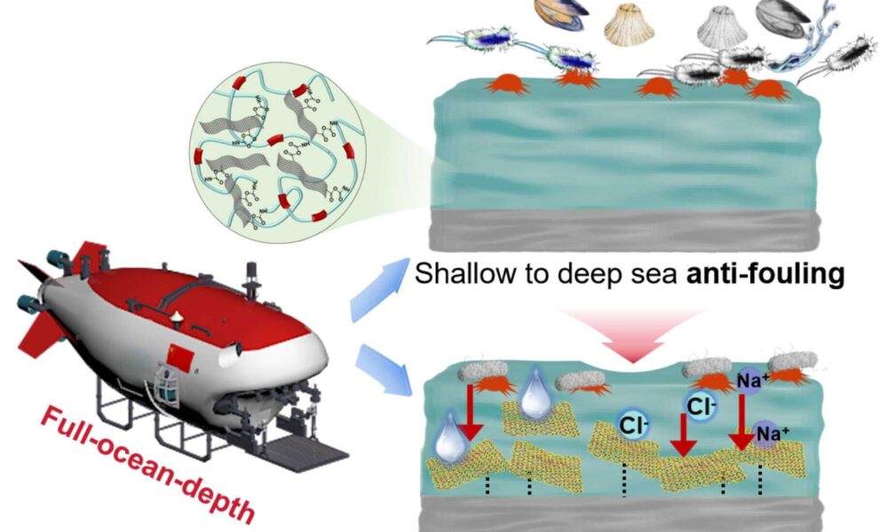 Deep-sea coating offers antifouling and anticorrosion protection in extreme environments
