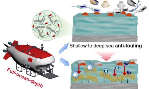 Deep-sea coating offers antifouling and anticorrosion protection in extreme environments
