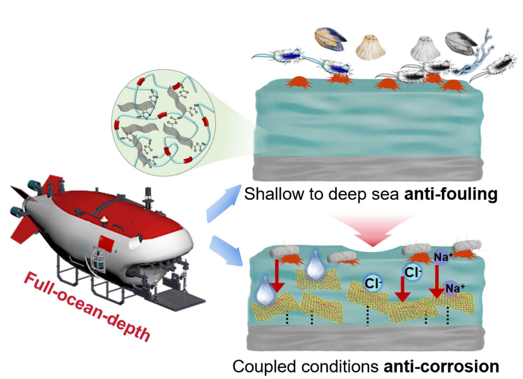 Deep-sea coating offers antifouling and anticorrosion protection in extreme environments Deep-sea coating offers antifouling and anticorrosion protection in extreme environments