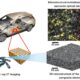 Double-layer electrode design powers next-gen silicon-based batteries for faster charging and longer range EVs