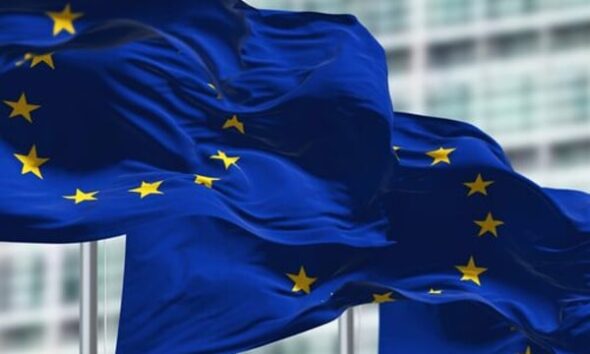 Due diligence: MEPs reject a further weakening of the legislation