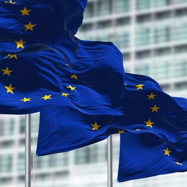 Due diligence: MEPs reject a further weakening of the legislation Due diligence: MEPs reject a further weakening of the legislation
