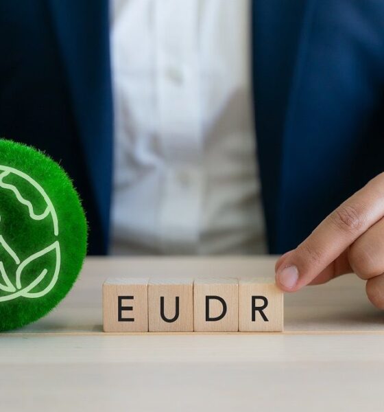 EU Commission proposes targeted measures to ensure EUDR implementation