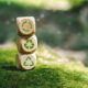 EU enforces new Waste Framework Directive to boost circular economy