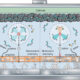 Exploring alternative metals for longer-lasting, faster-charging batteries