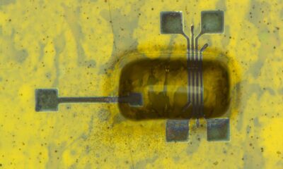 First fully recyclable, sub-micrometer printed electronics could reshape how displays are made