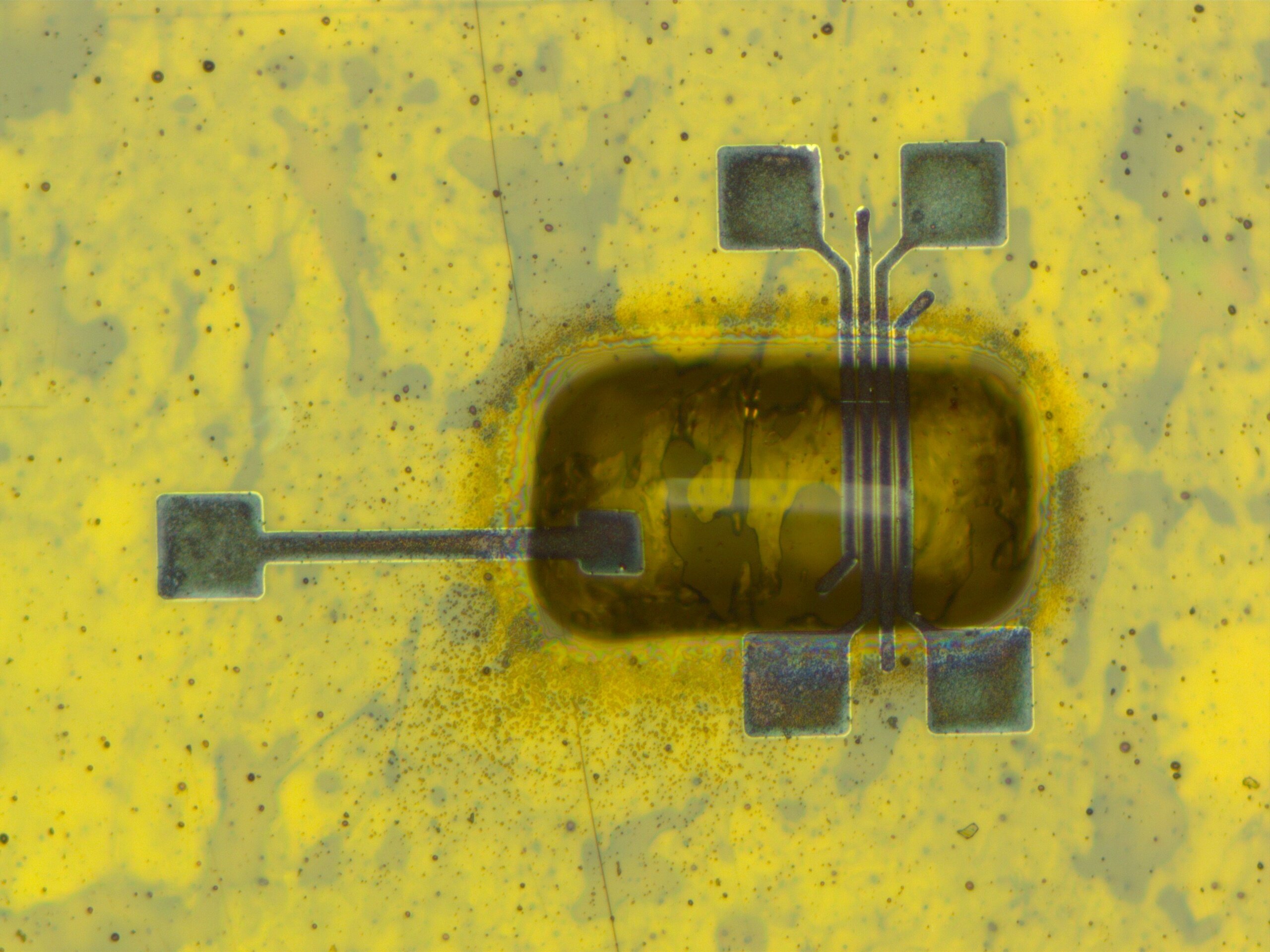 First fully recyclable, sub-micrometer printed electronics could reshape how displays are made First fully recyclable, sub-micrometer printed electronics could reshape how displays are made
