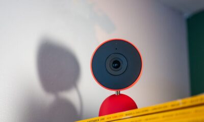 Gemini in Google Home Keeps Mistaking My Dog for a Cat