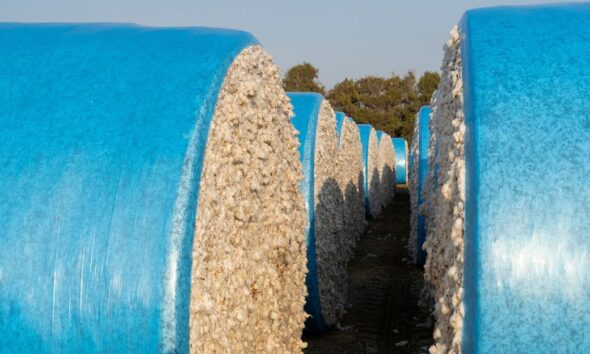 Global commodity prices to hit six-year low in 2026: World Bank