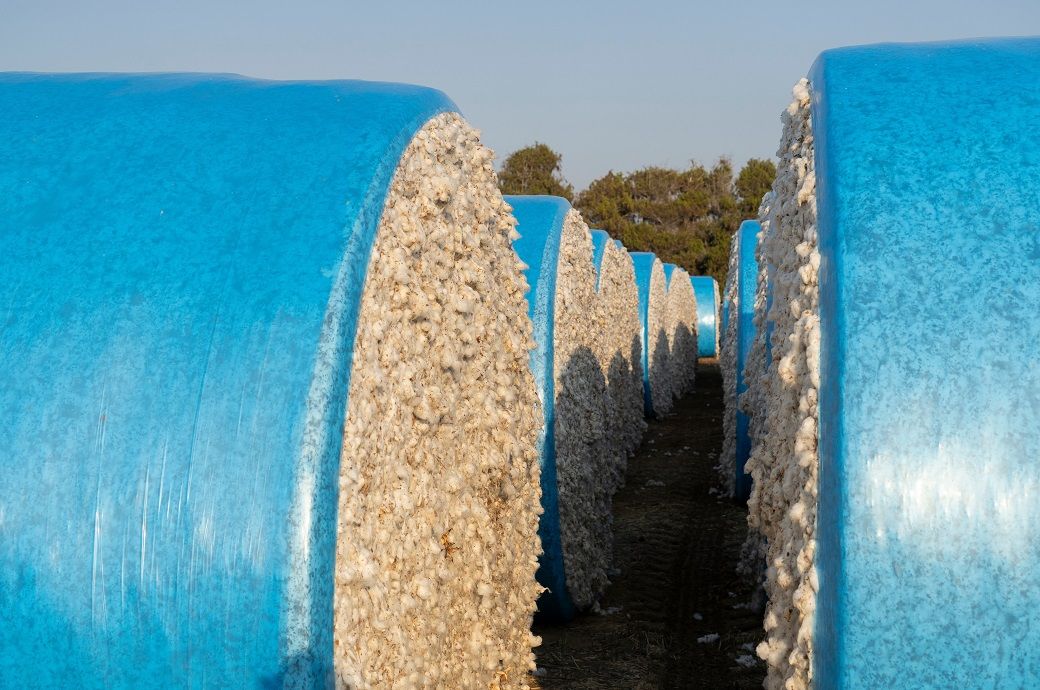 Global commodity prices to hit six-year low in 2026: World Bank Global commodity prices to hit six-year low in 2026: World Bank