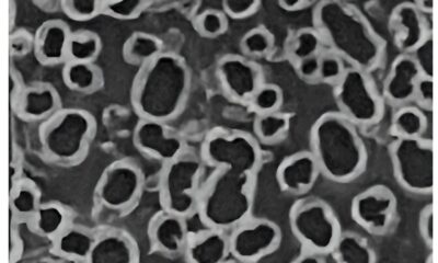 High-performance supercapacitor made from upcycled water bottles