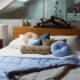 Home collaborations: where décor meets fashion