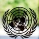 How will the next UN chief be chosen and who wants the job?