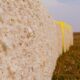 ICE cotton falls as strong dollar, US data halt weigh on sentiment