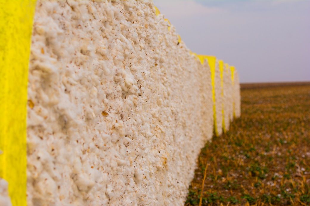 ICE cotton falls as strong dollar, US data halt weigh on sentiment ICE cotton falls as strong dollar, US data halt weigh on sentiment