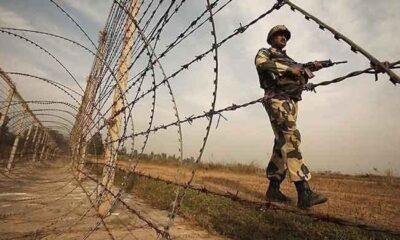 Indian forces kill, injure goats near Zero Point in Tharparkar