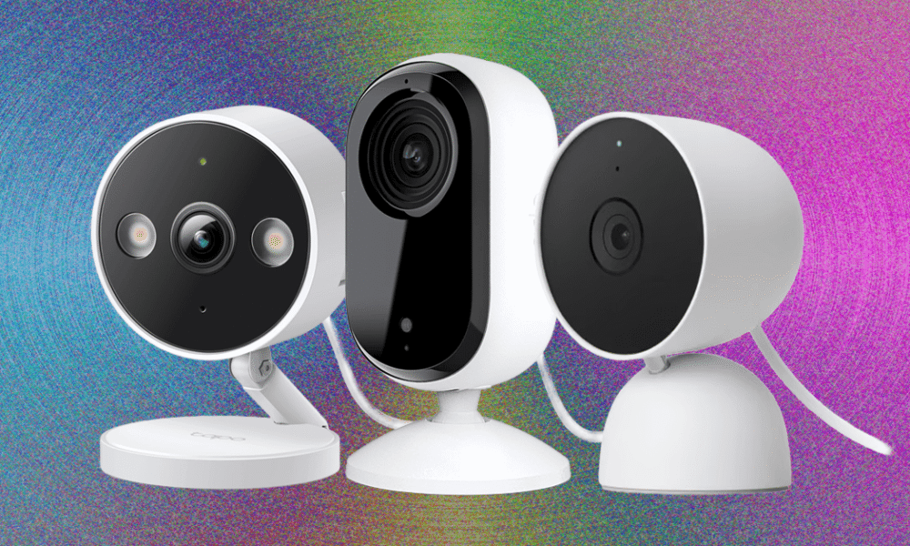 Keep Tabs on Your Pets and Kids With the Best Indoor Security Cameras
