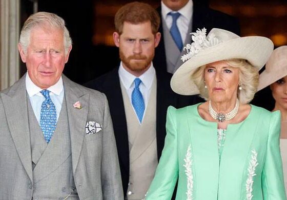 King Charles finds himself pleading to Camilla, Meghan to let Harry return to royal family