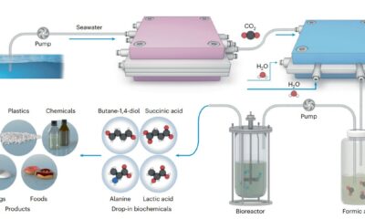 Making sustainable plastic from the carbon dioxide in the ocean