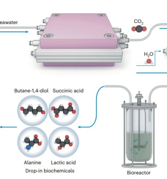 Making sustainable plastic from the carbon dioxide in the ocean