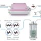 Making sustainable plastic from the carbon dioxide in the ocean