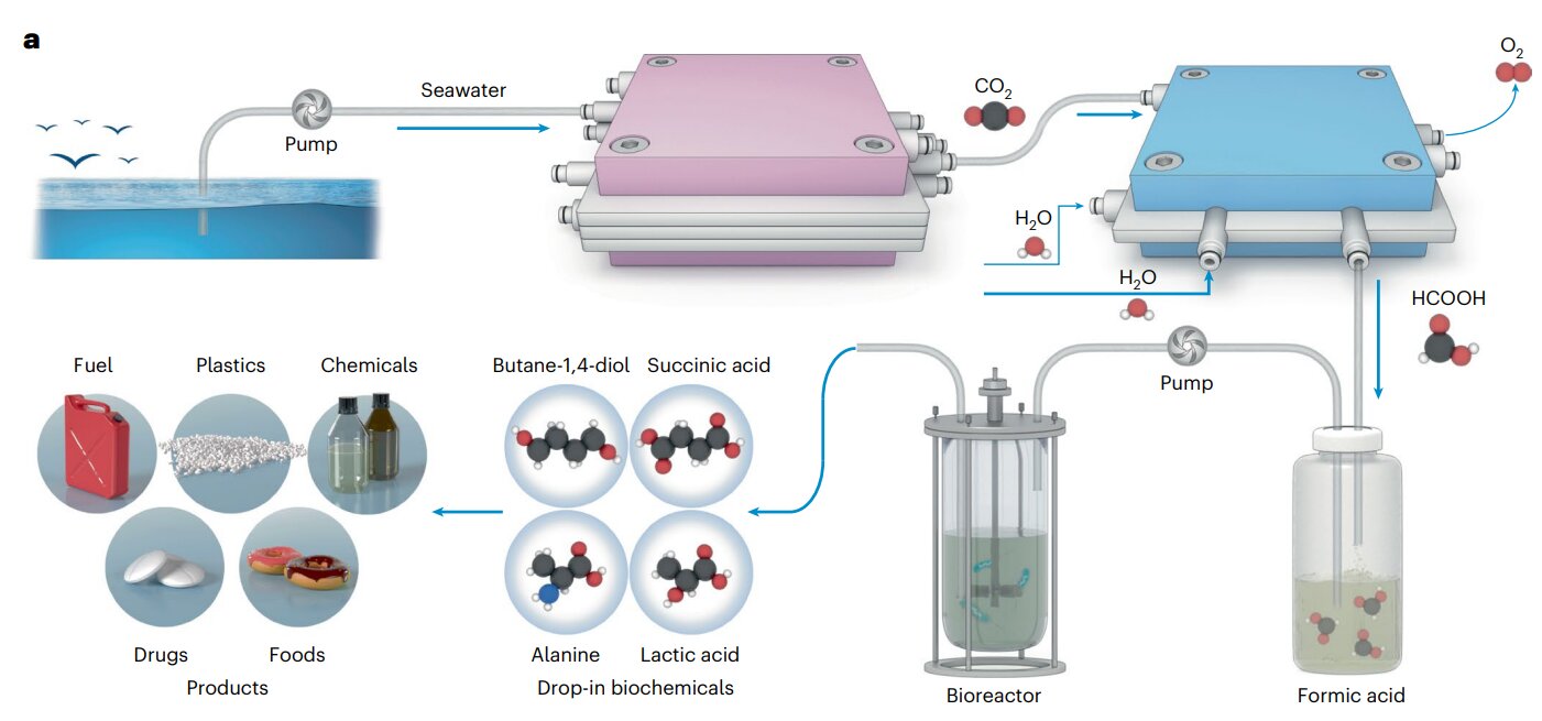 Making sustainable plastic from the carbon dioxide in the ocean