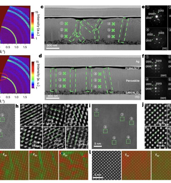 Molecular engineering strategy boosts efficiency of inverted perovskite solar cells