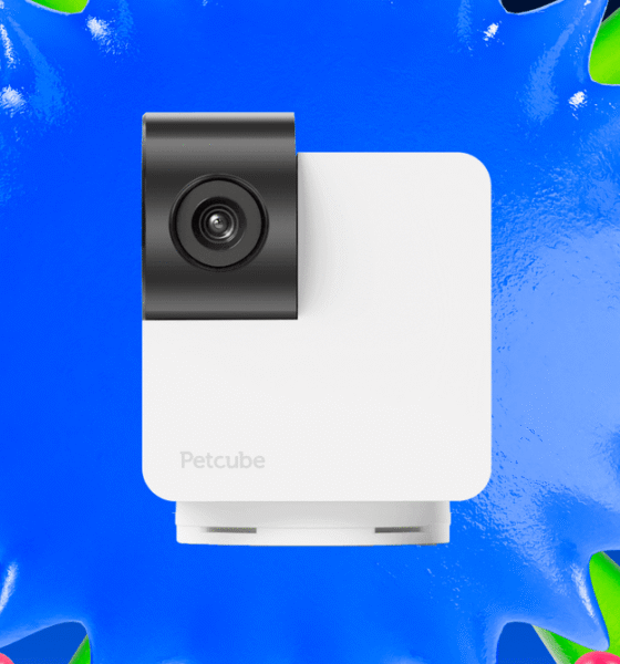 My Favorite Affordable 360 Rotating Pet Camera Is on Sale Right Now