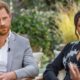New Meghan Markle show falls flat as expert says royal drama can’t be repeated