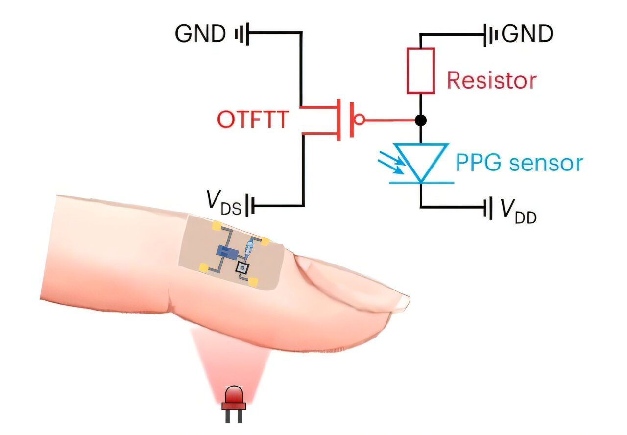 New organic thin-film tunnel transistors for wearable and other small electronics New organic thin-film tunnel transistors for wearable and other small electronics