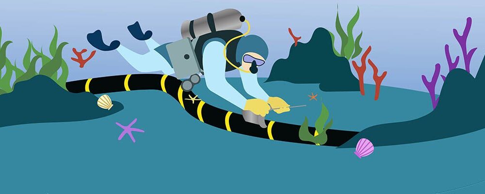 Orange lands first Medusa subsea cable in Marseille | Computer Weekly