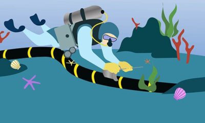 Orange lands first Medusa subsea cable in Marseille | Computer Weekly