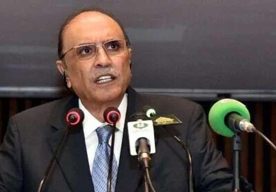 President Zardari steps in to diffuse PML-N-PPP tensions after days of verbal spat
