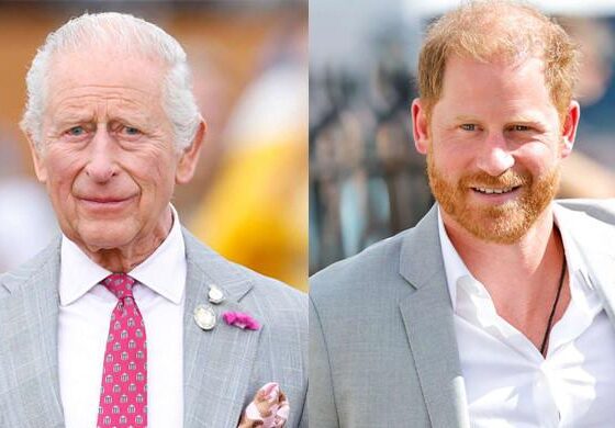 Prince Harry ‘frustrated’ over King Charles reunion hype