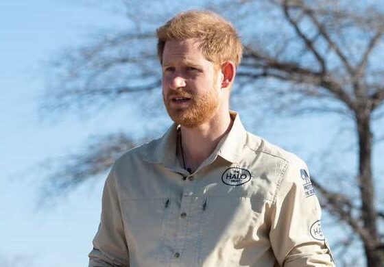 Prince Harry’s statement on King Charles meeting risks further conflict