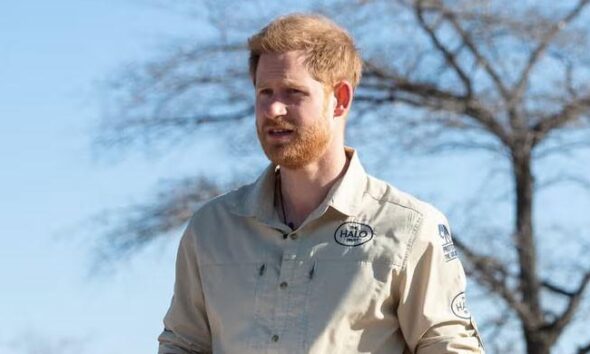 Prince Harry’s statement on King Charles meeting risks further conflict