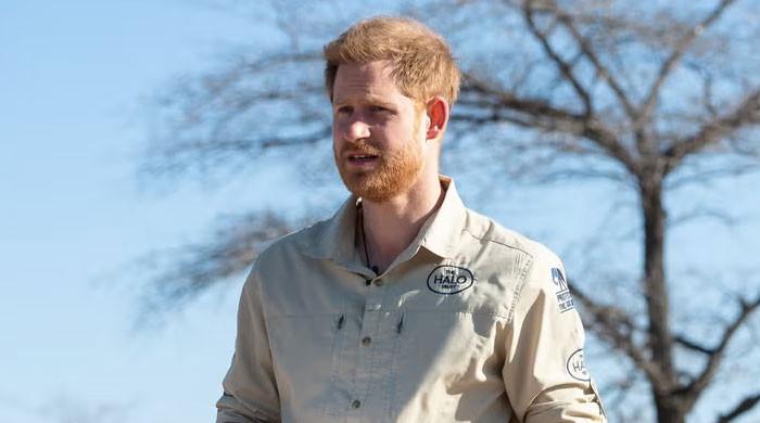 Prince Harry’s statement on King Charles meeting risks further conflict