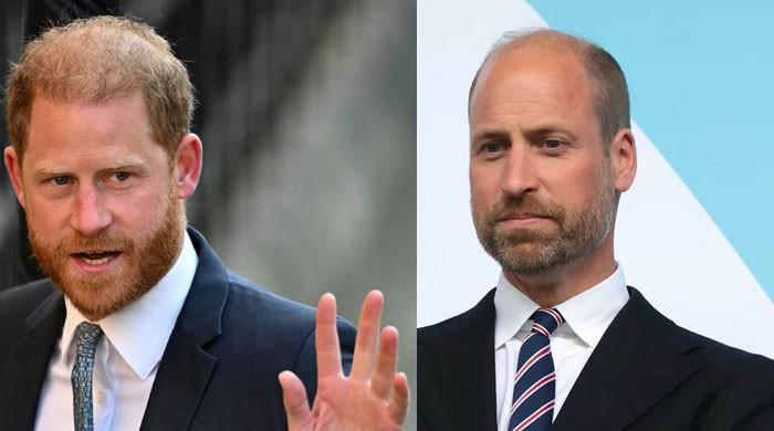 Prince William drops clue about the state of his rift with Prince Harry in his own words