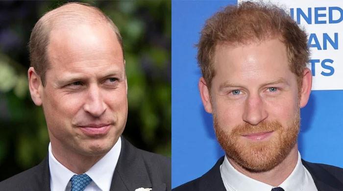 Prince William to ‘follow King’s playbook’ on Harry, Meghan titles?