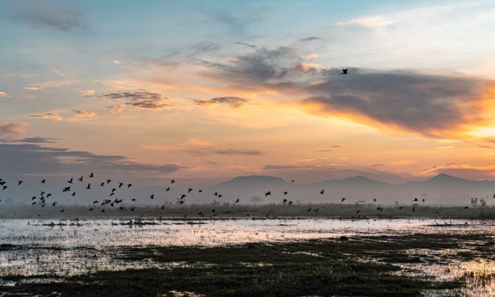 Rainfall Buries a Mega-Airport in Mexico