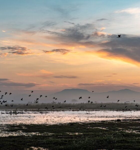 Rainfall Buries a Mega-Airport in Mexico