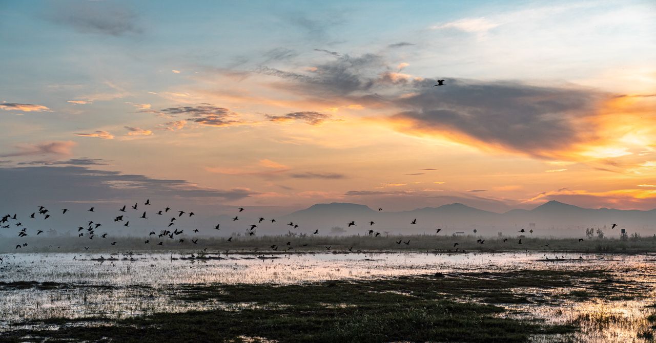 Rainfall Buries a Mega-Airport in Mexico Rainfall Buries a Mega-Airport in Mexico