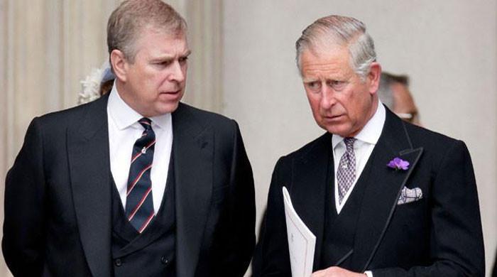 Royal family rocked by new twist in Prince Andrew, Epstein drama