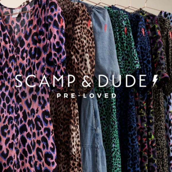 Scamp & Dude opens official pre-owned site Scamp & Dude opens official pre-owned site