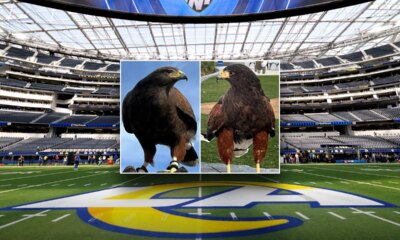 SoFi Stadium hawk stolen during Rams game located, second hawk remains missing