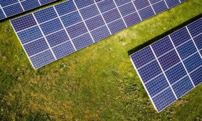 Solar energy is now the world’s cheapest source of power, study finds