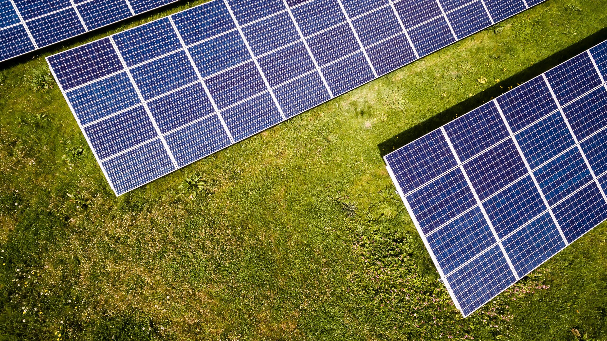 Solar energy is now the world’s cheapest source of power, study finds